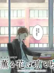 城市盲盒旅行综艺手机免费观看